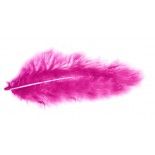 Chaks 0702-05, Sachet 10g de 100 plumes 5-10cm, Fuchsia