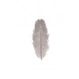 Chaks 0717-21, Sachet de 5 Plumes d'Autruche 20-25cm, Gris clair