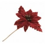  Fleur Poinsettia lie de vin 11cm sur tige avec paillettes or