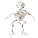 Squelette de Corbeau 18,5cm