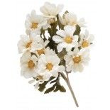 Bouquet de 5 tiges Bidens 27cm, Blanc