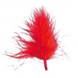 Sachet de 20 plumes rouges