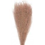 Party Pro 333FS7, Bouquet de 10 Pampas light brun naturel 60 cm