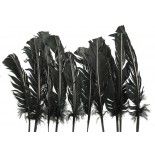 Sachet de 10 Plumes de dinde 30-35cm, Noir