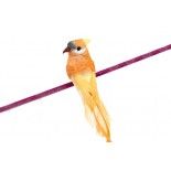 Oiseau Perruche en plumes 13cm sur pince, Orange