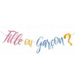 Guirlande Fille ou Garçon ? gender reveal 2,5m
