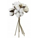 Bouquet vertical de Fleurs de coton naturelles 24cm