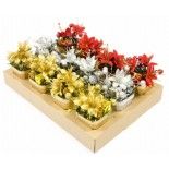 Déco Composition Fleurs de Noël avec Paquet dans pot 12cm (x1)