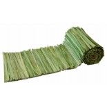 Ruban en fibres de feuille de palme 10cmx1m, Vert