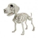 Party Pro 902232, Squelette de petit chien 26 cm