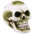 Chaks 13720, Crâne résine avec mousse verte 15,5cm